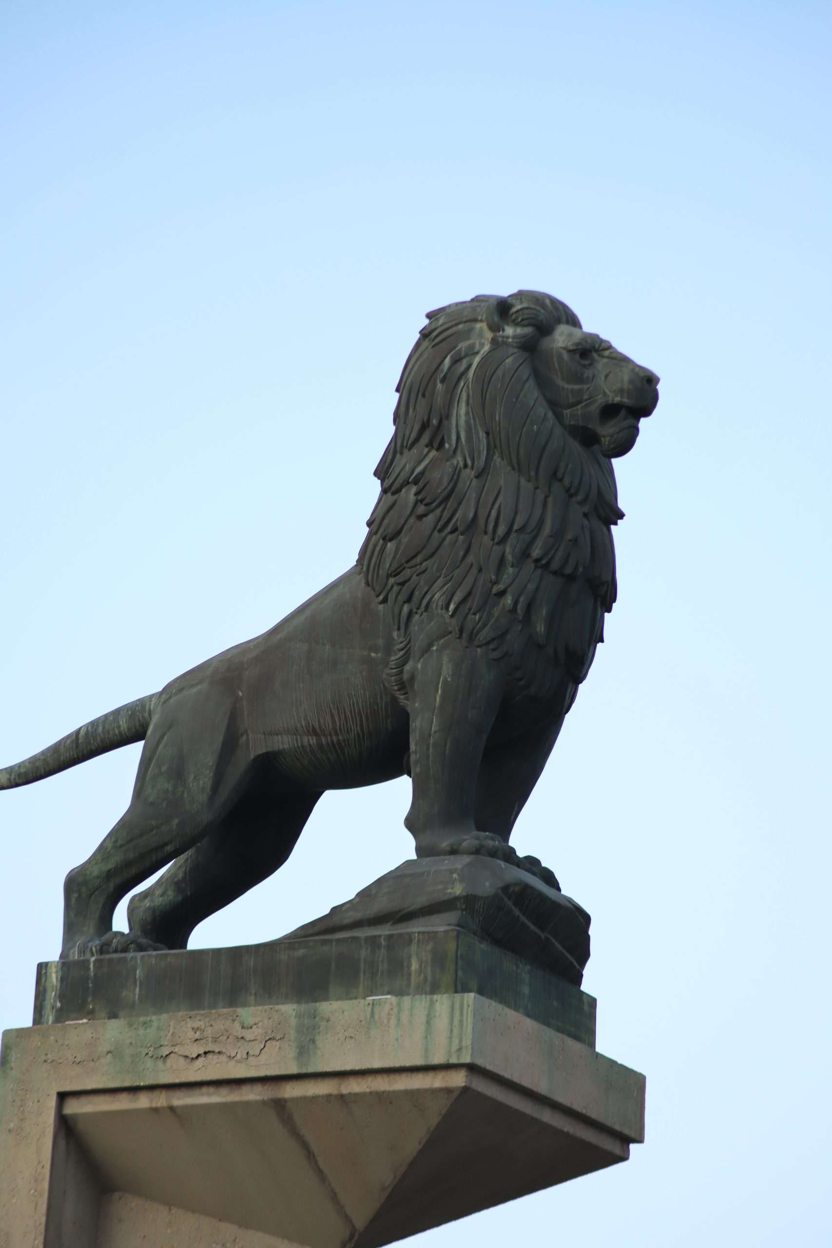 ¡Ya llega el Saraqusta Film Festival 2023!