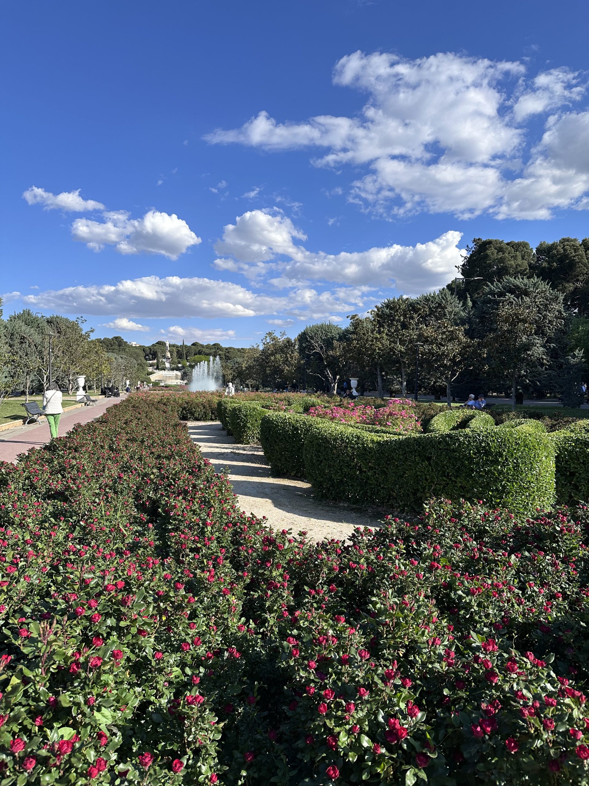 Zaragoza en verde: parques, jardines y rutas para descubrir la ciudad