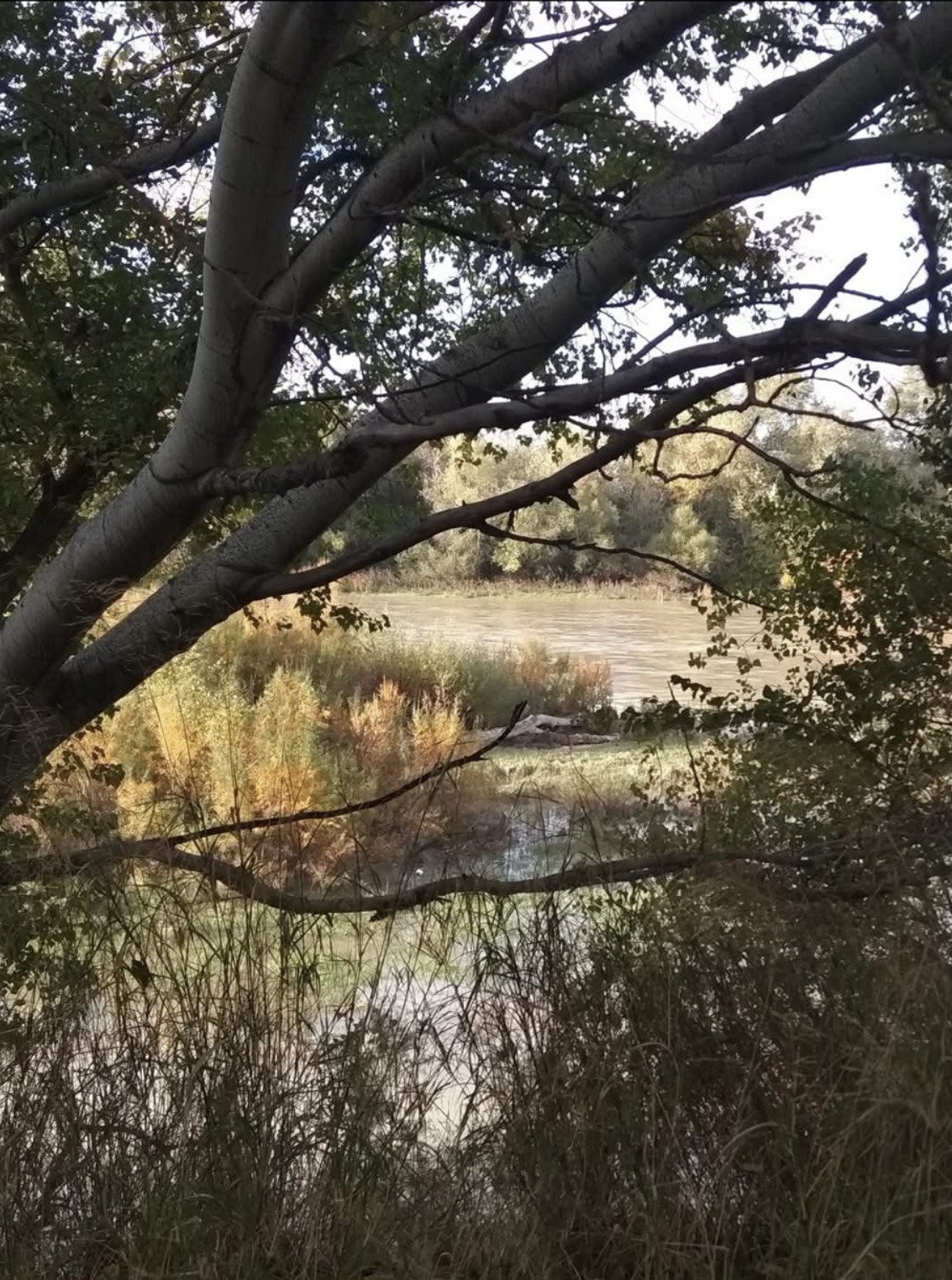 CAMINOS DEL EBRO